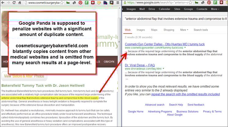 Duplicate Content Example