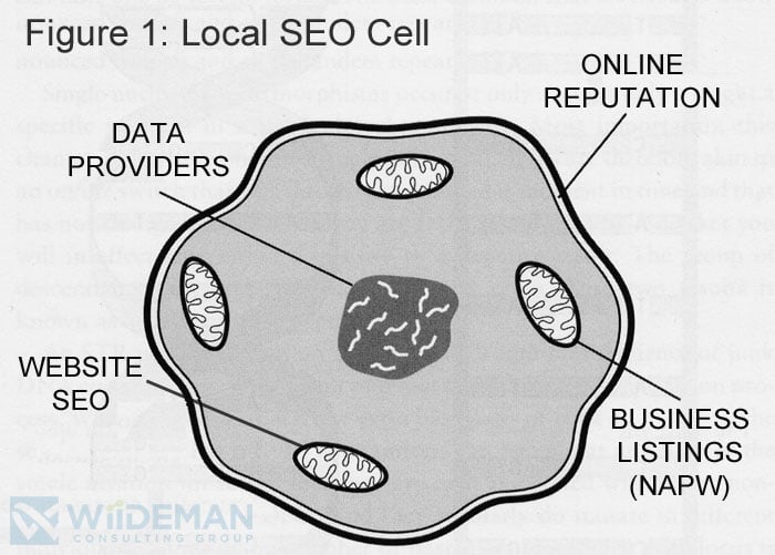 Diagram of Local SEO as Represented by a Cell