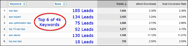 Screenshot Showing Leads and Visits From Keywords