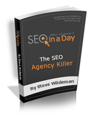 Cover of SEO in a Day - Visit SEOinaDay.com