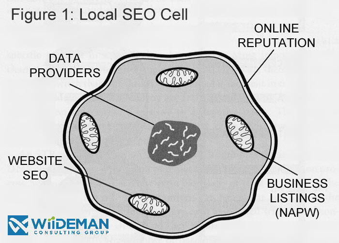 Local SEO Strategy - Much Like a Cell and Its Parts